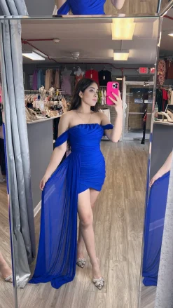 Grand Princess Dress (Royal)