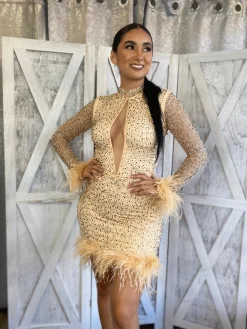 Ice Out Dress