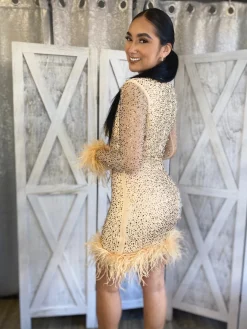 Ice Out Dress