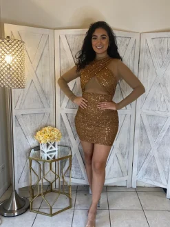 Kristine Dress (Brown)