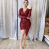 Leilani Sequin Dress (Wine)