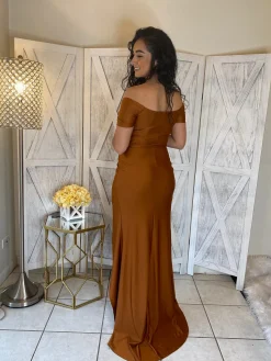 Veronica Dress (Copper)